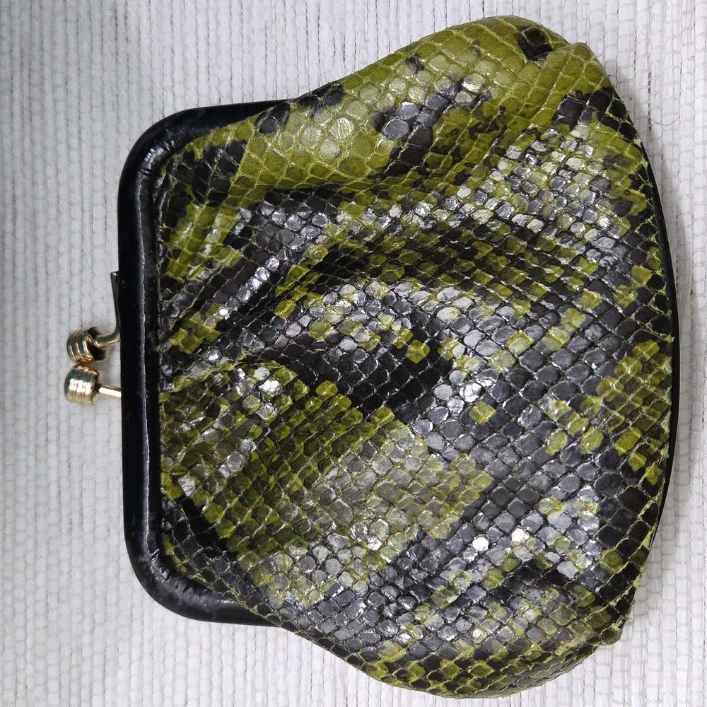 Rare Vintage Dooney & Bourke Exotic Python Kiss-Lock Pouch